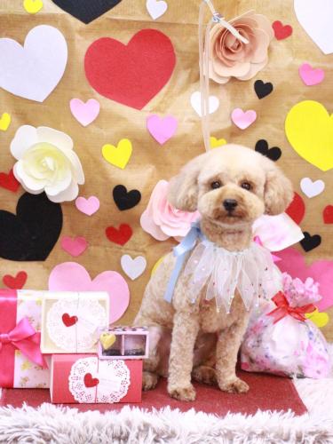 20230207モナカくん